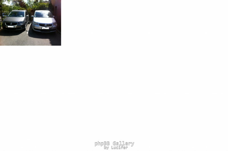 TOULOUSE COURTILLERS