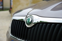 Skoda Superb Gaby 17