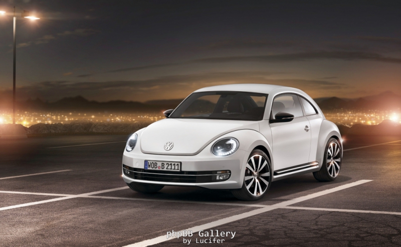 Beetle 2011 3