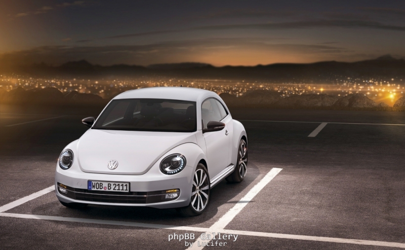 Beetle 2011 5