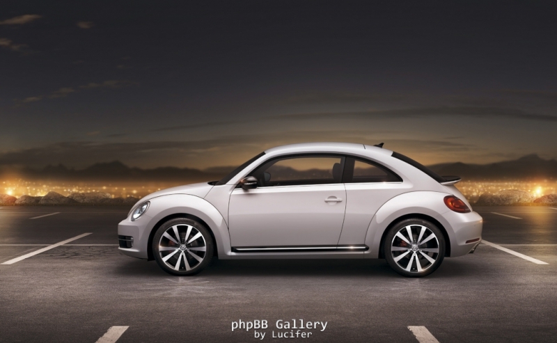Beetle 2011 6