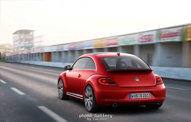 Beetle 2011 13