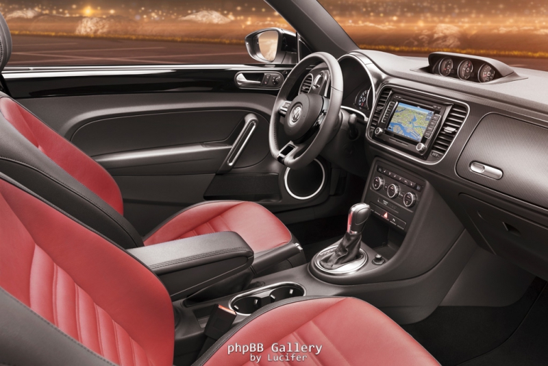 Beetle 2011 15