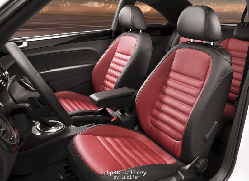 Beetle 2011 16