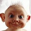 Avatar du membre