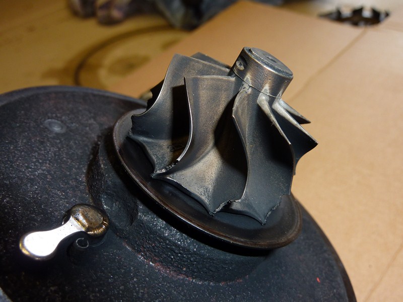 P1050995 (Copier).JPG