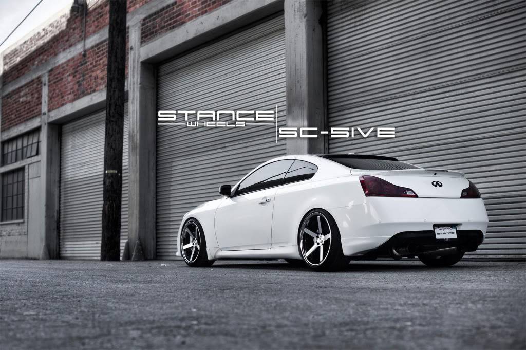 stance2 (1).jpg