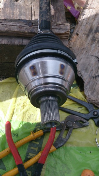 DSC_0203 (Copier).JPG