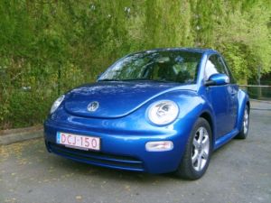 BEE BEE 1.jpg