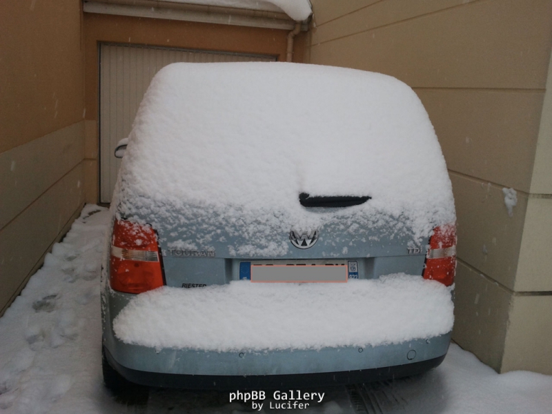 L'arriere de mon toutou sous la neige