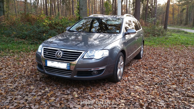 Passat R36