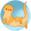 Avatar du membre