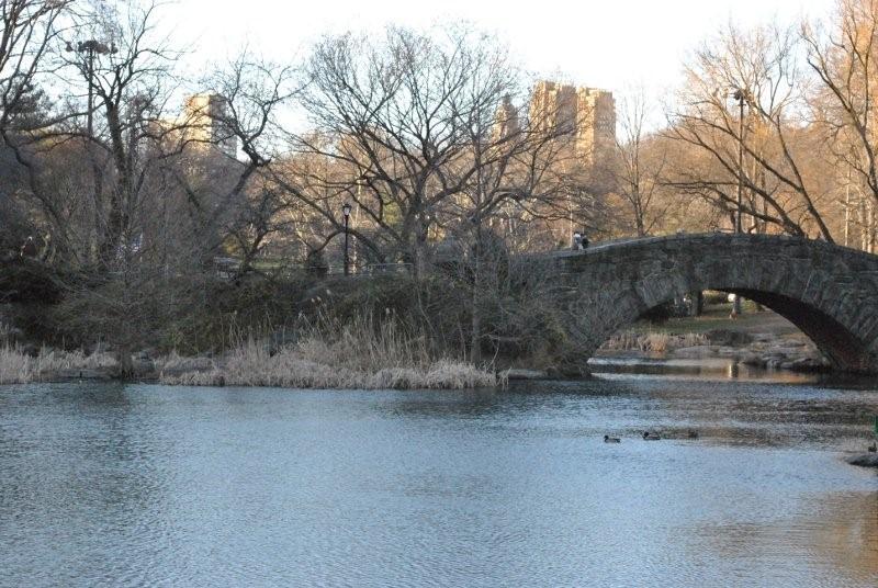 CENTRAL PARK_1.jpg