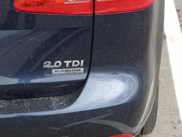 P1000371 (590x443).jpg