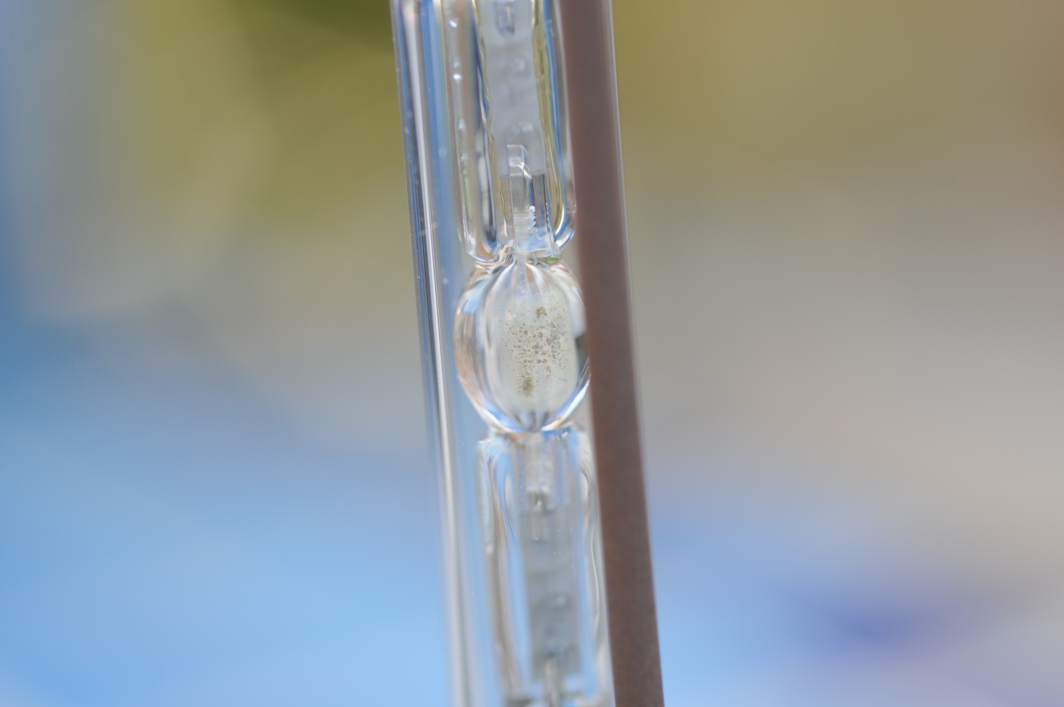 DSC_9793.JPG