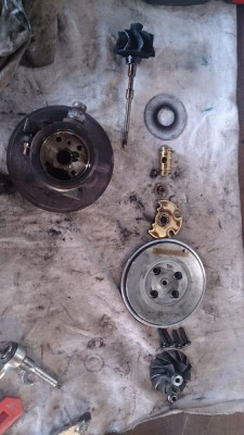 DSC_0680 (Copier).JPG