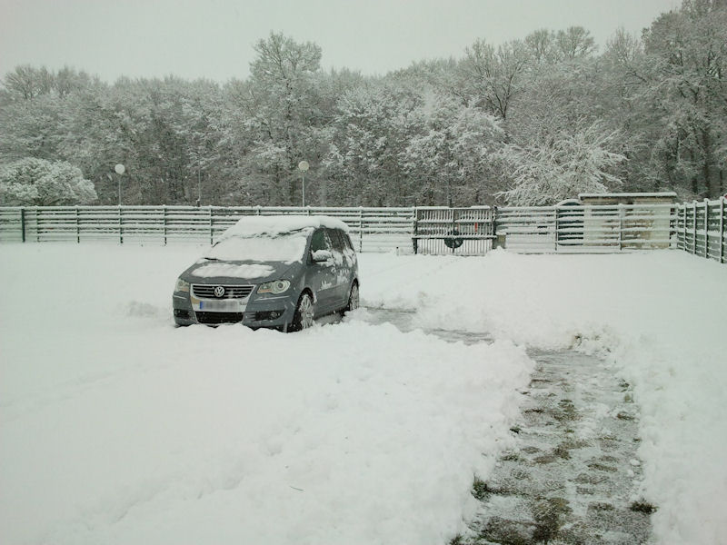 2010-12-20 09.23.44.jpg